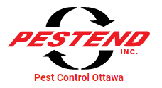 Pest Control Ottawa Inc. Pest Control Ottawa Inc.