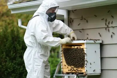 Bizzy Bee Exterminators