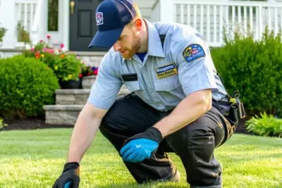 Blasingame Pest Managment, Inc.