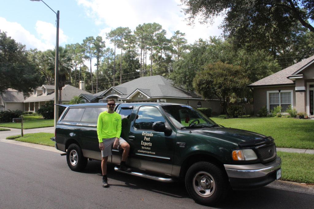 Orlando Pest Experts Orlando Pest Experts