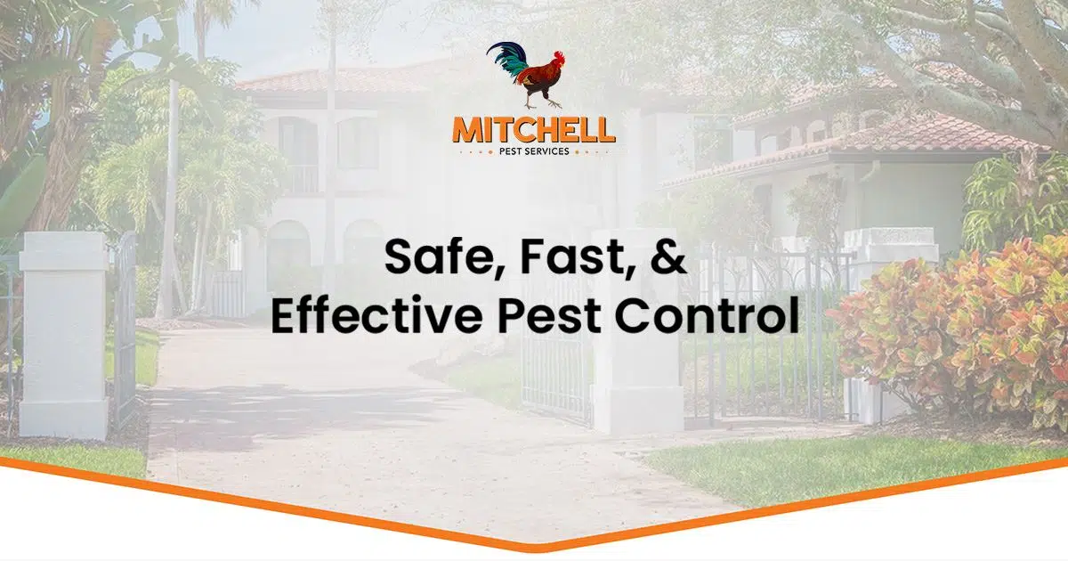 Mitchell Pest Services (Florida)
