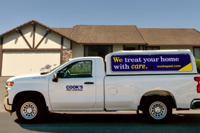 Pest Control Service in Griffin