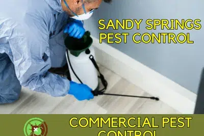 Pest Control Service in Sandy Springs