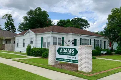 Pest Control Service in Tifton