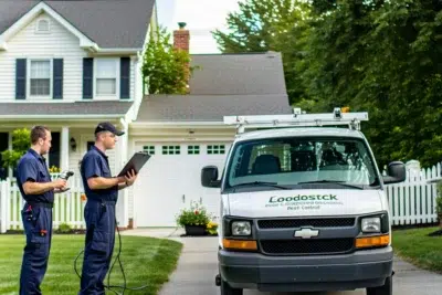 Pest Control Service in Woodstock