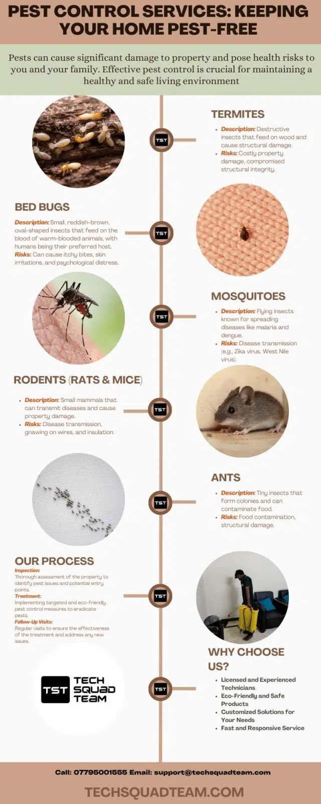 Pest Control Solutions for Independence: Effective Services to Keep Your Home Pest-Free