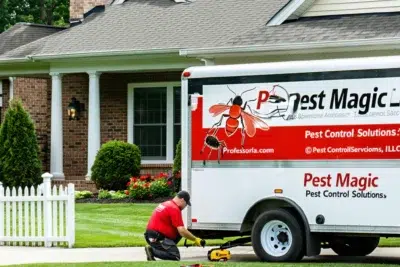 Pest Magic, LLC.