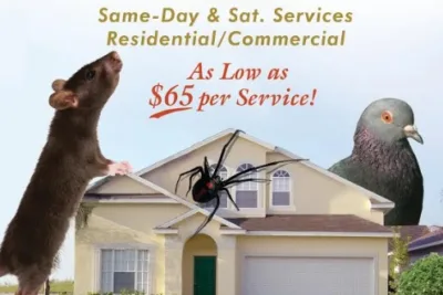 Ron's All Seasons Pest Control