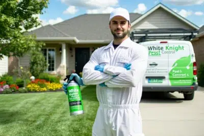 White Knight Pest Control