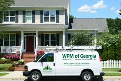 Wpm of Georgia