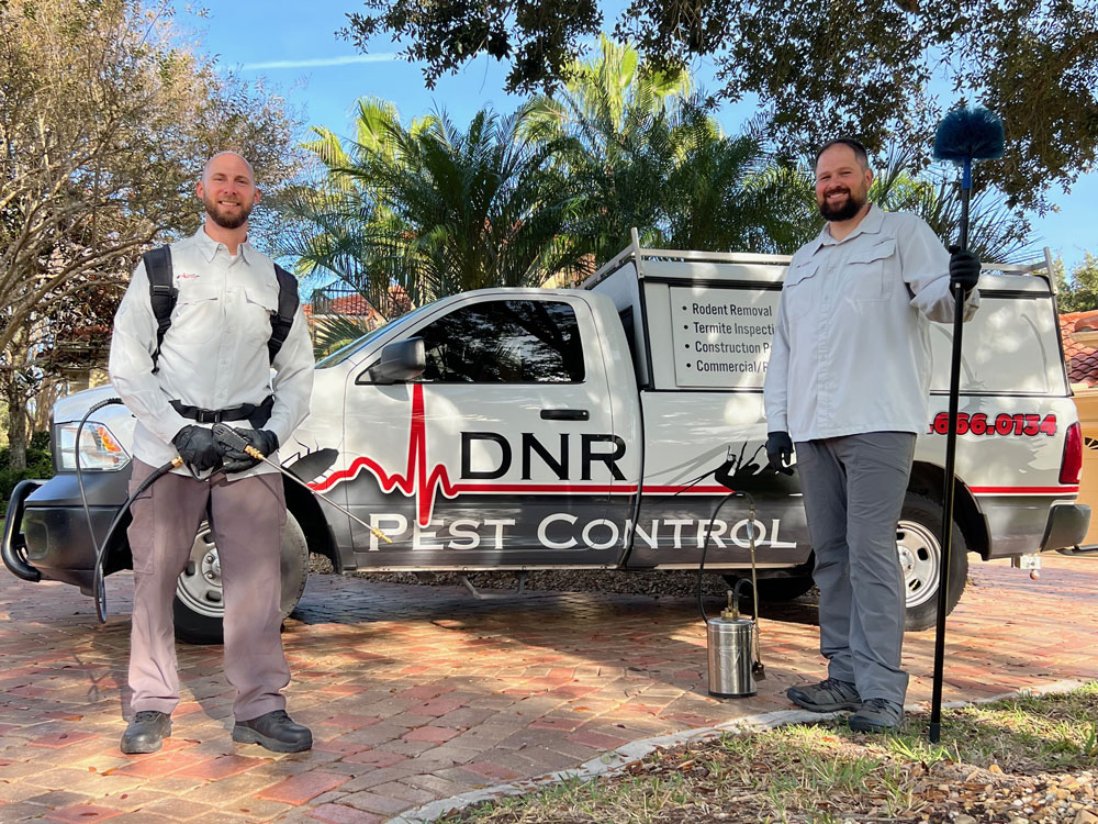 DNR Pest Control DNR Pest Control