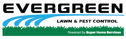 Evergreen Lawn & Pest Control Evergreen Lawn & Pest Control