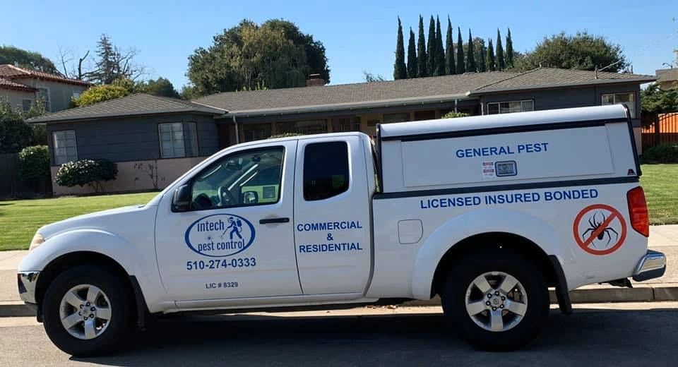 Intech Pest Control Intech Pest Control